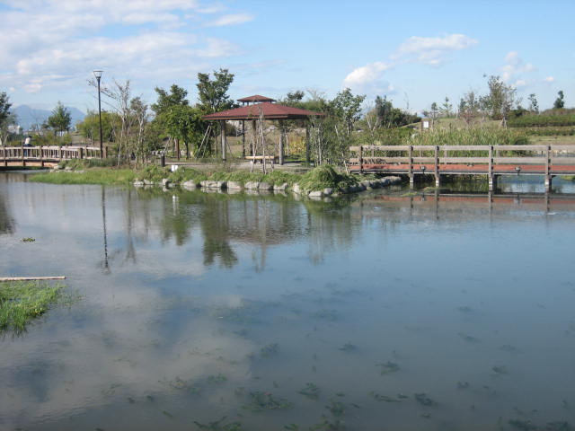 写真：修景池1