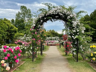 北部公園案内 バラ園 玉村町