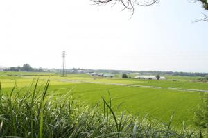 神流川方面の写真