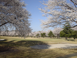 玉村ゴルフ場