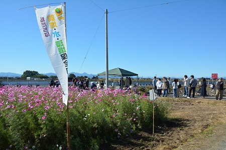 下之宮地区　農地・水環境保全会　「コスモスまつり」来場者