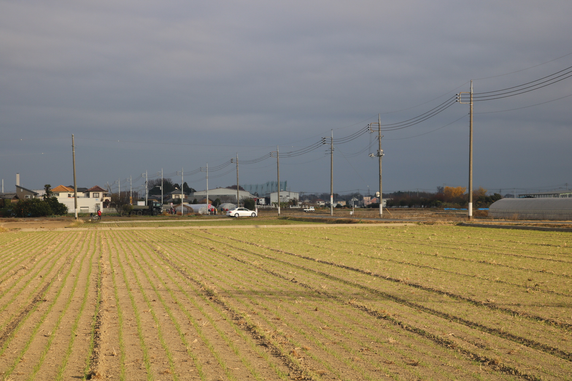 R2.12.5資料館25周年記念日光例幣使道を歩こうツアー（田園風景遠景）