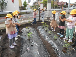 「大きくなりますように」と空にお願いする子どもたちの様子