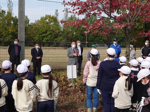 玉村町農業体験クラブ主催の稲刈り体験を視察（上福島地内体験圃場
