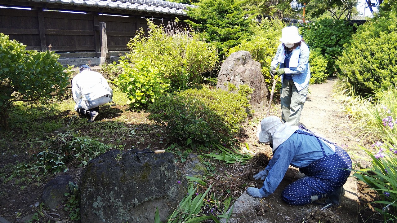 除草作業の写真