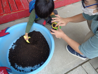 ペットボトルの底でできているプランターに園芸用の土を入れている子どもの姿