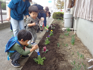 植えた花に水をあげている男の子