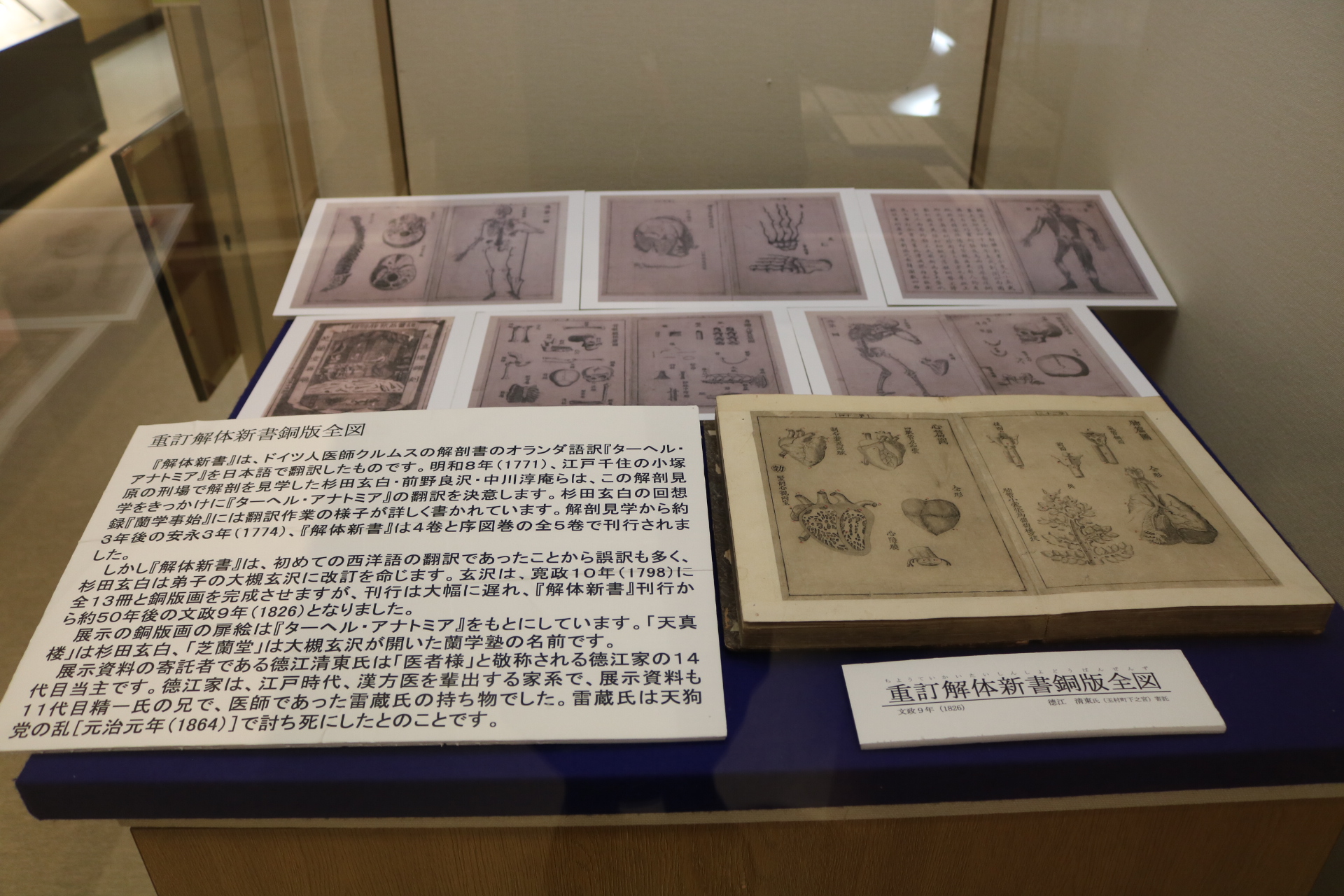 R6新収蔵資料展会場風景2