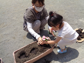 プランターに花を植えているところ