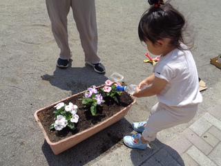 花に水をあげているところ