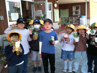 おいしい野菜になるように畑に植えているところ