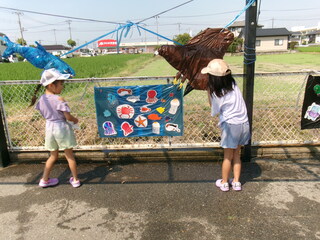 海の生き物めがけて水鉄砲で狙い撃ち