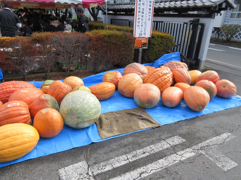 会場の様子① 会場の様子①