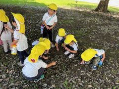 gunnmanomori2 群馬の森