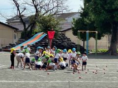 tamaire たまいれ