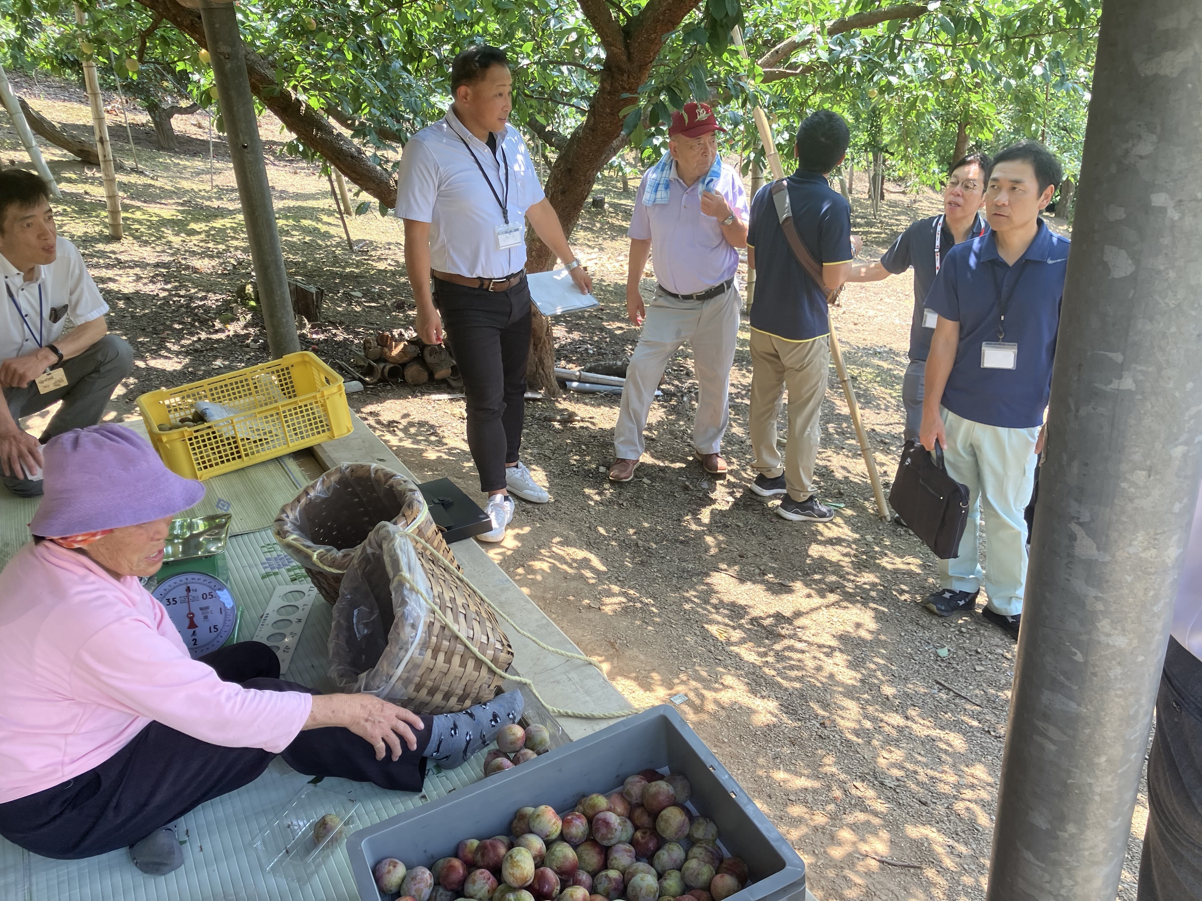 上野村視察3