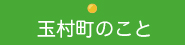 玉村町のこと